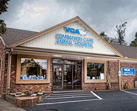 vca companion animal hospital|vca companion care for pets.